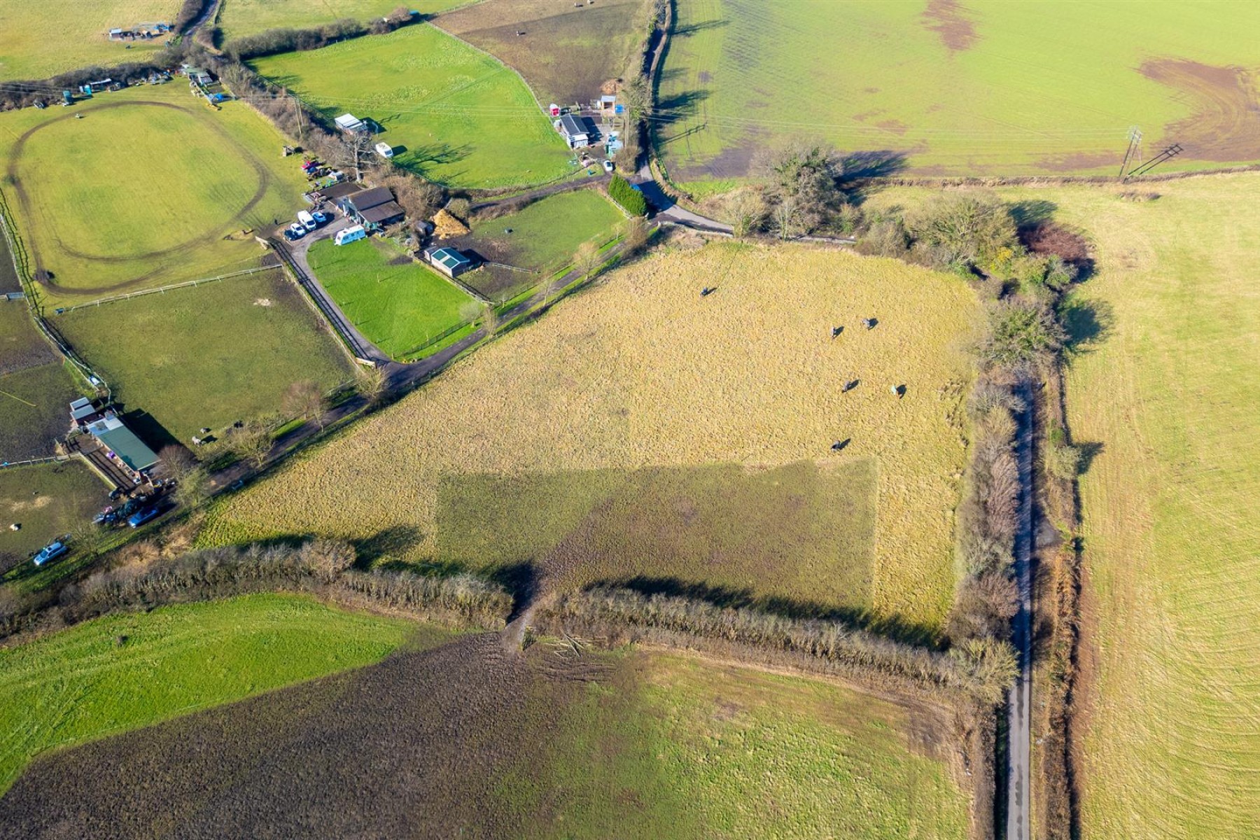 Images for LAND | EQUESTRIAN | NIBLEY