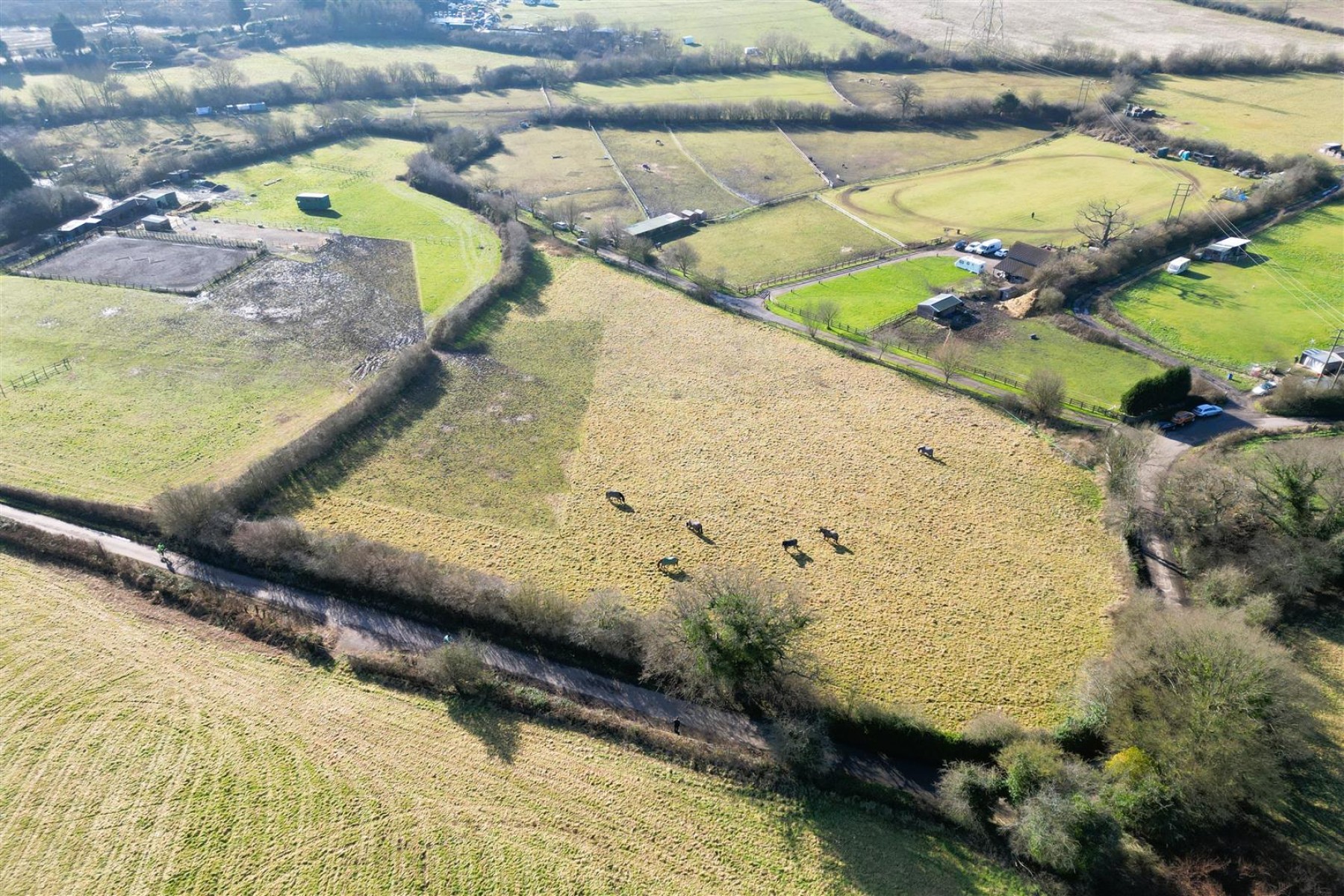 Images for LAND | EQUESTRIAN | NIBLEY